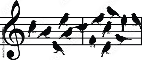 Black silhouette birds on musical notes staff treble clef black silhouettes