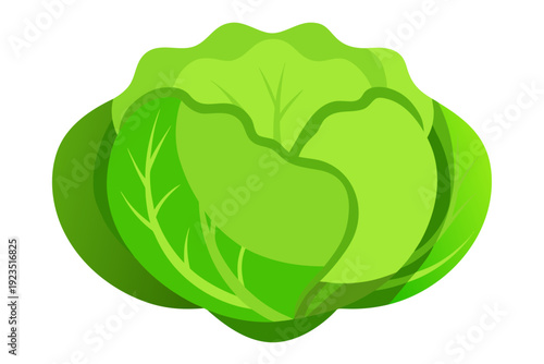 A vibrant green cabbage icon in a modern flat design style with a subtle shadow effect