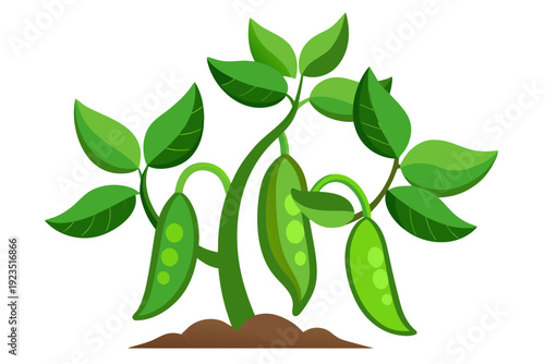 A vibrant vector illustration of a pea plant with green leaves and pods growing in brown soil