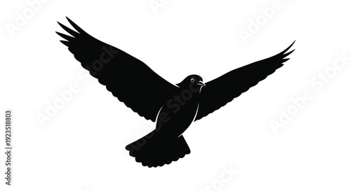 Silhouette of a bird in flight with outstretched wings on white background freedom and nature concept