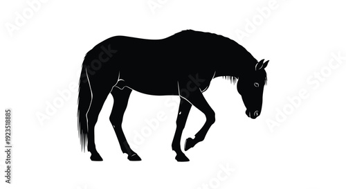 Black horse silhouette walking isolated on white background dynamic equine illustration