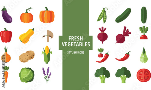 Fresh Vegetables Icon Set – Colorful Organic Healthy Food Vector Collection