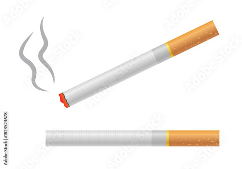 Burning cigarette with smoke and unlit cigarette, isolated on white background vector elements