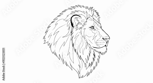 A detailed black and white line drawing of a lion's profile with a mane