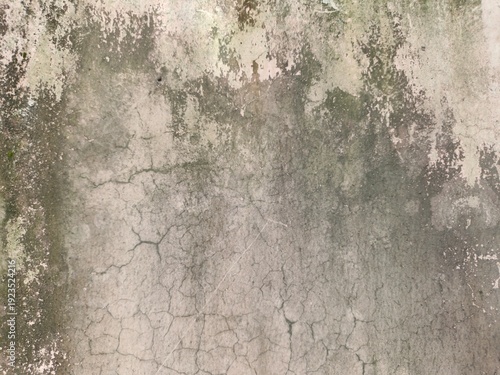 Canvas-taulu Grunge Texture of Old Weathered Concrete Wall with Moss and Scratches