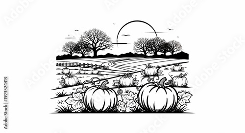 A black and white illustration of a bountiful pumpkin patch with trees and a pathway