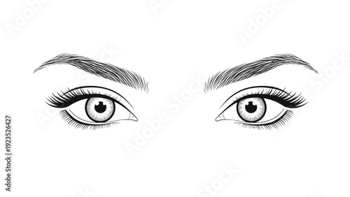 Detailed black and white sketch of beautiful female eyes with long eyelashes and perfectly shaped eyebrows in a realistic style.