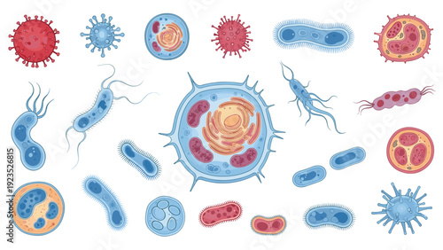 Comprehensive collection of various colorful cells, bacteria, viruses, and microorganisms illustrated on a white background.