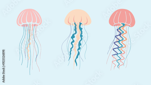 Set of three different jellyfish in pink and orange shades with long flowing tentacles illustrated on a light blue background.