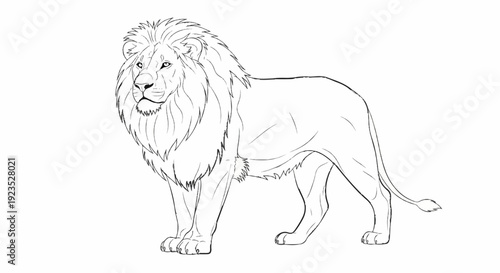 A sketch of a majestic male lion standing proudly, showing its mane and tail