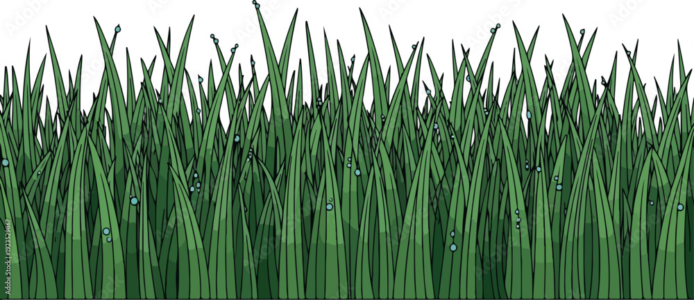 Obraz premium Tall Grass Isolated on Transparent Background Flat 2D Vector