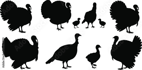 Turkey silhouettes collection with adult birds and chicks, farm poultry vector illustration isolated on white background design