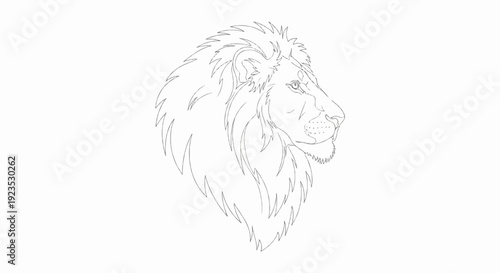 A detailed line drawing of a lion's head in profile, showcasing its mane