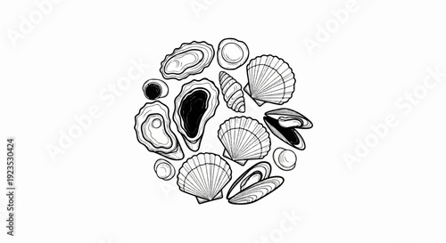 A circle of various seashells and oysters, drawn in black outline on white