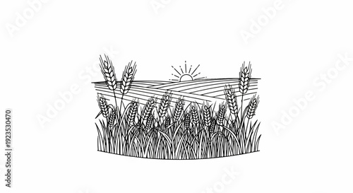 A rustic illustration of a sunlit wheat field with stalks in the foreground
