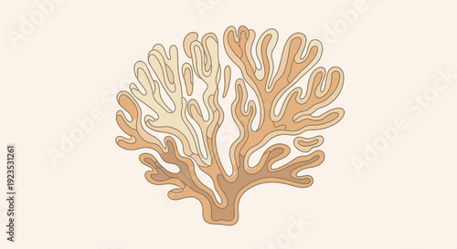 Coral Isolated on White Background Illustration.