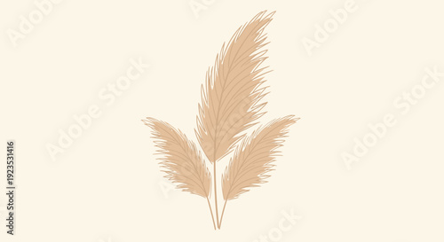 Soft Pink Feathers Closeup Delicate Plumes.