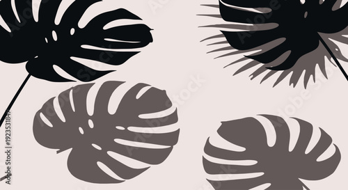 Monstera Leaves Silhouette Pattern Design Element.