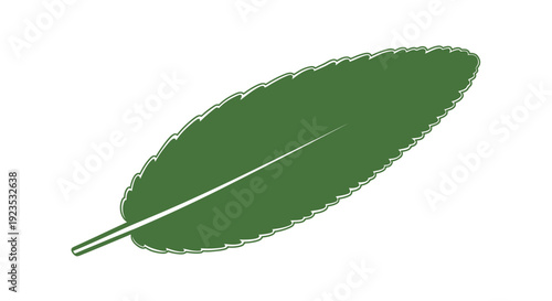 Green Leaf with Stem and Vein.