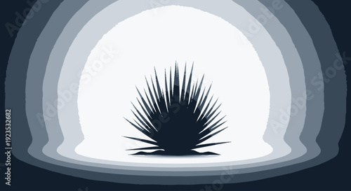 Black Sea Urchin Silhouette in Window.