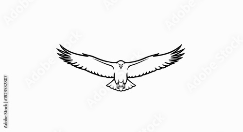 A stark black and white line drawing of a raptor in flight