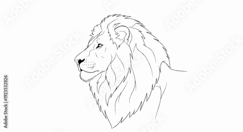A detailed outline of a majestic lion's head and mane