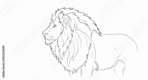 A detailed outline sketch of a majestic lion's profile, mane flowing