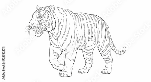 A detailed outline sketch of a powerful tiger walking with its mouth slightly open