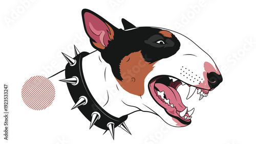 Aggressive bull terrier head with a brown eye patch snarling and showing teeth in a fierce expression wearing a spiked collar.