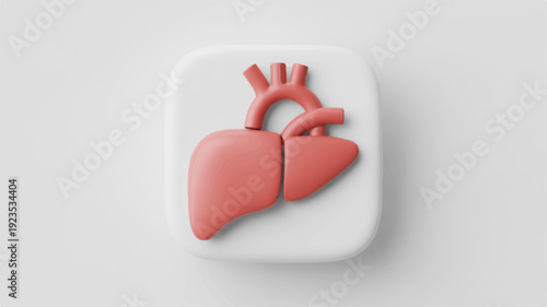 3d rendered icon of a pink human heart and lung on white square background