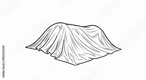 A draped fabric covers an unseen object, creating soft folds and shadows