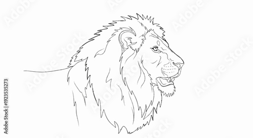A line drawing depicts the profile of a lion with a majestic mane