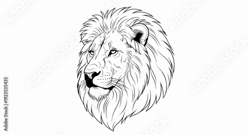 A striking black and white illustration of a majestic lion's face and mane