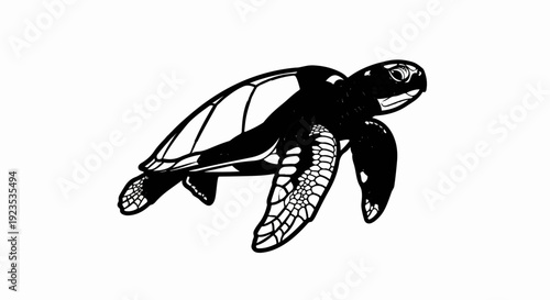 A striking black and white illustration of a sea turtle swimming gracefully