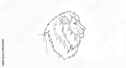 A simple line drawing depicts a majestic lion's profile with its mane flowing