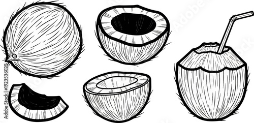 A collection of hand-drawn coconuts, whole, halved, and with a straw
