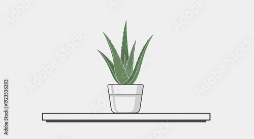 A simple illustration of an aloe vera plant in a white pot on a shelf