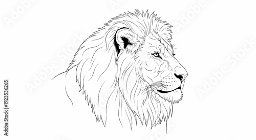 A striking line art portrait of a male lion's head in profile