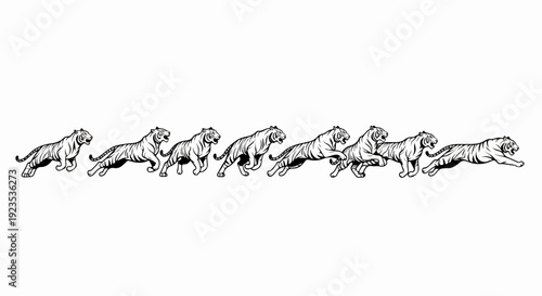A line of tigers in motion, captured in different poses of running