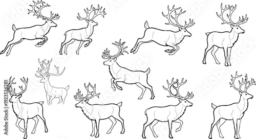A collection of line drawings featuring reindeer in various poses
