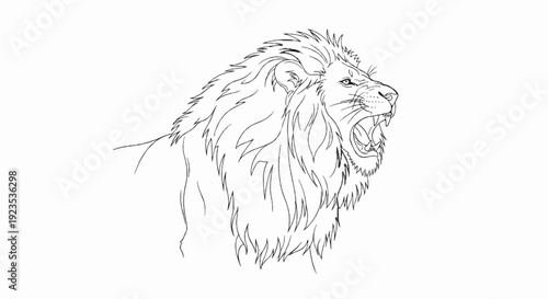 A fierce lion roars with its mouth wide open, sharp teeth bared