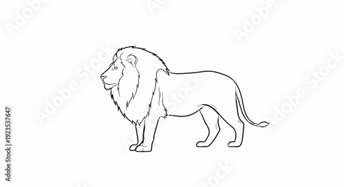 A striking line-art illustration of a male lion in profile