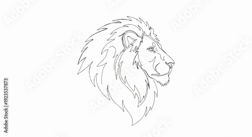 A striking, stylized line drawing of a lion's head and mane