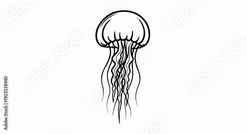 A simple black and white line drawing of a jellyfish with flowing tentacles