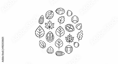 A whimsical circular arrangement of various nuts and leaves