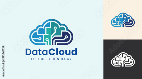 The DataCloud logo creatively combines a cloud symbol with circuit patterns, reflecting advanced technology and data-driven solutions for the future of information management.