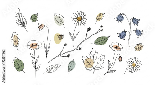 Colorful floral arrangement with various flowers and leaves on white background for decoration and design