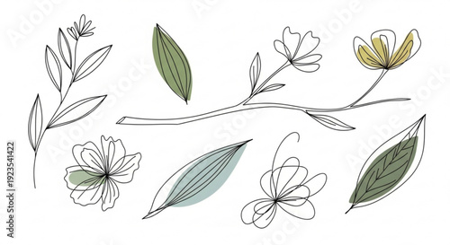 Botanical illustration of various flowers and leaves in a delicate line art style with soft colors on a white background