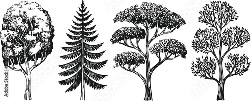 Abstract Eye Silhouette Vector Set  Geometric Shapes and Minimal Design