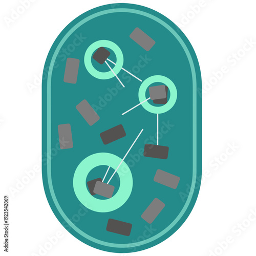 Cell autophagy illustration depicts cellular cleaning process with organelles engulfing debris. Clean, modern graphic design for scientific or educational use.